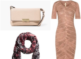 ruzicasta jesen zima