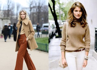 Camel boja inspiracija