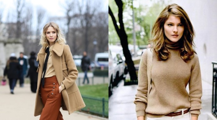 Camel boja inspiracija