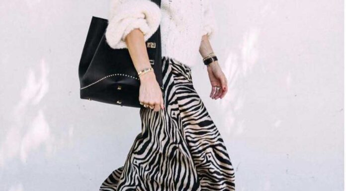 zebra print naslovna