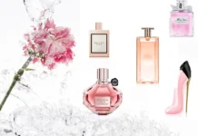 Parfemi za proljece sa ruzom na slici