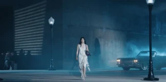 dior cruise